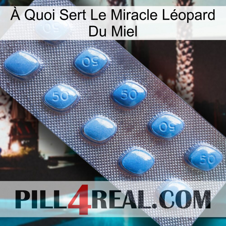 À Quoi Sert Le Miracle Léopard Du Miel viagra3